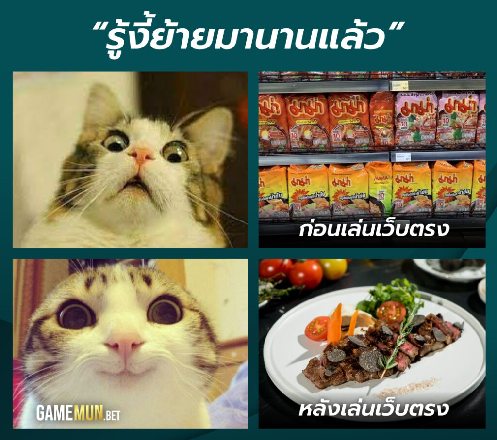 ปั่นสล็อตค่ายไหนดี